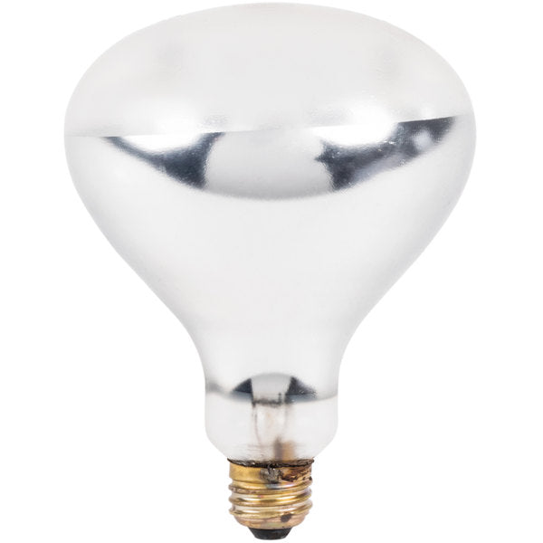 Globe CHL-BULB Shatterproof Heating Bulb - 250W